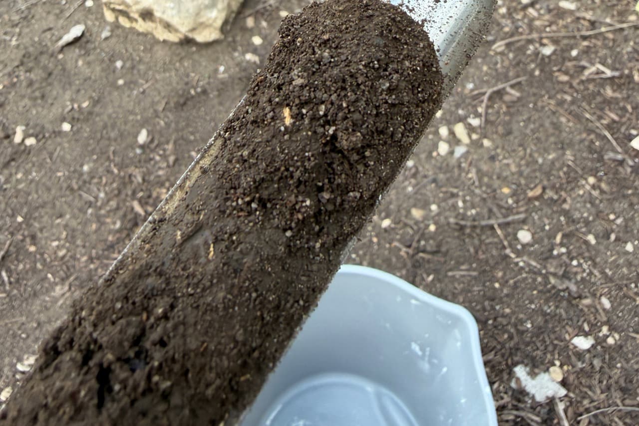 Soil probe with a fresh core sample at the base of a tree